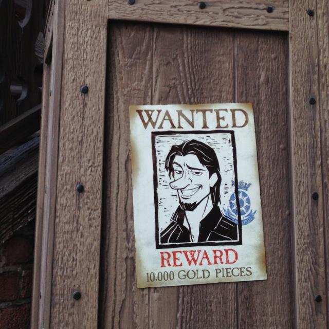 flynn-rider-wanted-poster-in-fantasy-faire-they