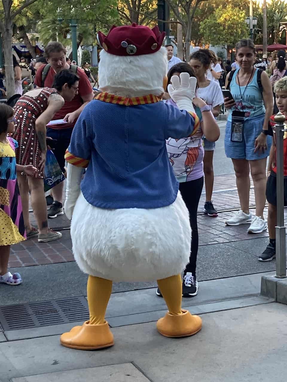 DUCK BUTT, made ya look!!!! #DonaldDuck #CarthayCircle - Disneyland Lounge