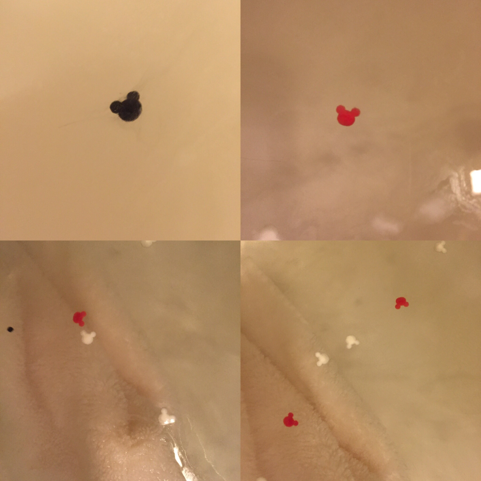 basin mickey bath bomb